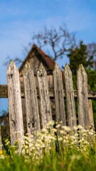 Rustic wooden fence with wildflowers