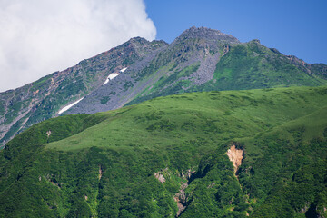 夏の5合目鉾立から見た鳥海山
