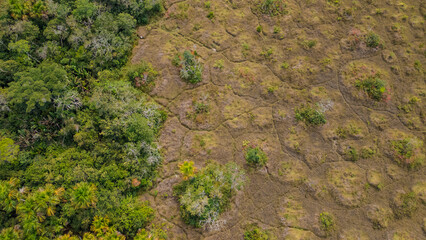 Aerial view of the extensive Amazonian humid savannah plain, located between Bolivia and Peru, Pampas del Heath (Peru-Bolivia) and those of Yacuma (Bolivia)