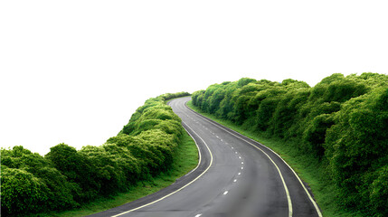 Winding road through lush green trees, leading to adventure, perfect for travel, nature, and exploration