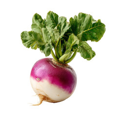 Fresh turnip with green leaves healthy vegetable root crop nutrition diet food isolated on transparent background, png