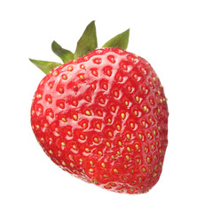 One fresh ripe strawberry isolated on white