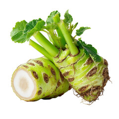 Fresh wasabi rhizome root with green leaves for sushi and japanese cuisine isolated on transparent background, png