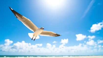 A seagull soars high above the ocean.