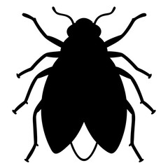 Leafhopper Silhouette 