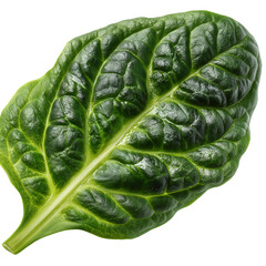 Obraz premium Fresh spinach leaf close up macro detail of healthy green vegetable food diet isolated on transparent background, png
