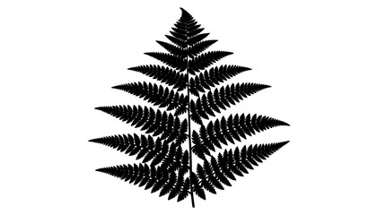 Detailed silhouette of a fern leaf.