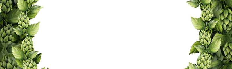 Horizontal beer festival frame made of green hop leaves and cones on both sides, leaving a clean white center for text or design. Suitable for banners, invitations, and Oktoberfest layouts.