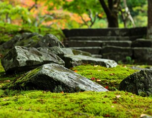 Moss-covered stones in a garden