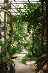 A cozy outdoor cafe surrounded by lush green garden, wooden pergola walkway, rustic architecture, natural ambiance, peaceful seating area and relaxing vibe perfect for nature lovers