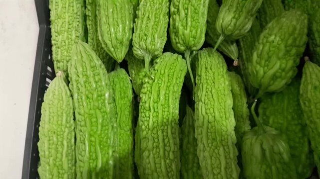 Bitter gourd healthy nutritional, and medicinal harb vegetable food video footage. Bitter gourd raw dietary vegetable.