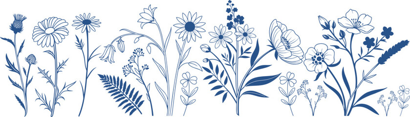 Elegant blue wildflower line art illustration with botanical floral arrangement. Perfect for modern wall , stationery, and creative vector projects. High-resolution nature artwork.