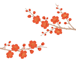 Red Plum Blossom Branch Illustration on White Background  © fromage