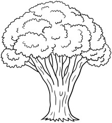 American Elm Tree Vector Outline Line Art Drawing