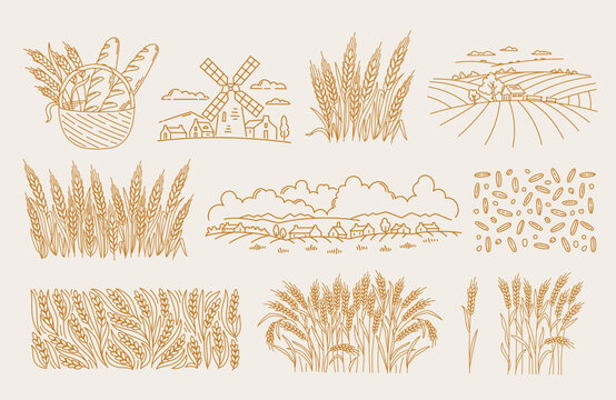 Visual elements for bakery packaging designs featuring grain and bread motifs