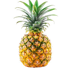 Fototapeta premium Ripe pineapple, bright yellow, green leaves