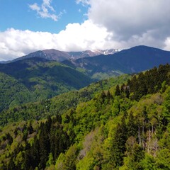 Naklejka premium Mountainous landscape, lush green forests, dramatic sky