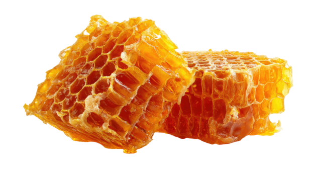 Two honeycombs, golden-orange in color, and showing hexagonal cell structure