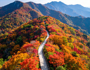 Drone view of autumn mountain trail