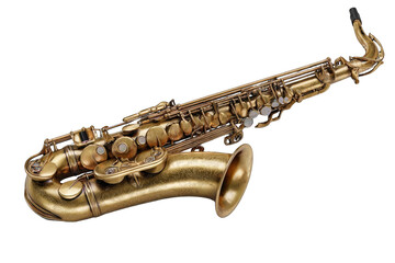 Obraz premium Gold-toned alto saxophone (1)