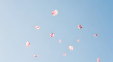 Serene sky with delicate pink flower petals drifting peacefully in the clear blue sky creating a calming and beautiful natural scene perfect for relaxation and tranquility themes