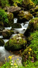 Mountain stream flowing over rocks