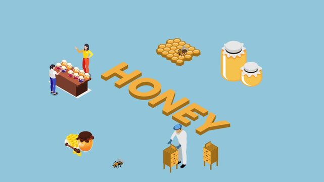 Infographic of Honey Production and Beekeeping 3d animation cartoon