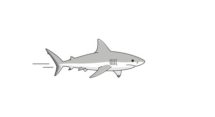 Stylized Gray Shark Illustration Swimming Swiftly Across a White Background. Ideal for Educational Materials, Children's Books, and Marine Life Awareness Campaigns.