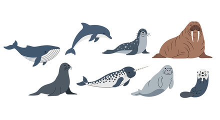 Diverse Marine Mammals Vector Illustration for Educational Resources and Conservation Awareness. Suitable for children's books, educational websites, or conservation projects. © Jonmart