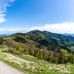 Mountain vista with winding road