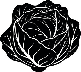 A monochromatic vector illustration of a tightly layered and leafy green cabbage