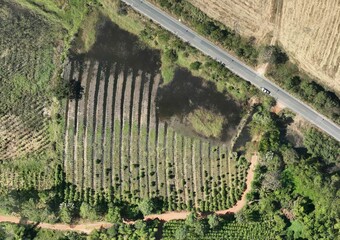 Top View Aerial Photograph
