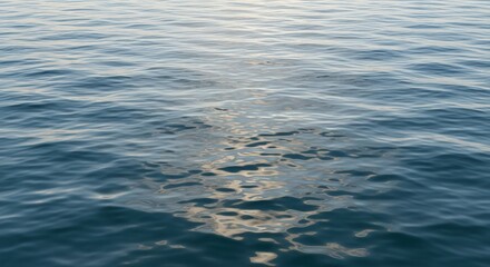 Naklejka premium Calm Ocean Water with Sunlight Reflections, Serene Sea Surface