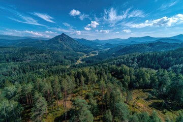 Panoramic mountain vista, lush green forests, clear blue sky