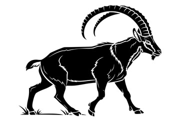 Ibex animal sihouette black vector