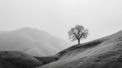Minimalist black white landscape with solitary tree on hills, peaceful nature scene for meditation apps, home decor marketing, artistic projects backdrop