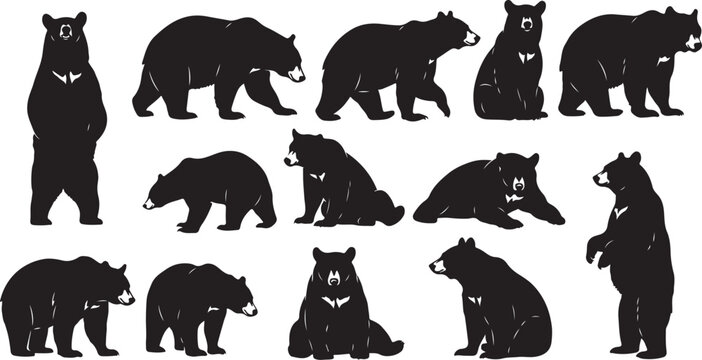 Collection of black bear silhouettes in various standing and sitting poses on a white background