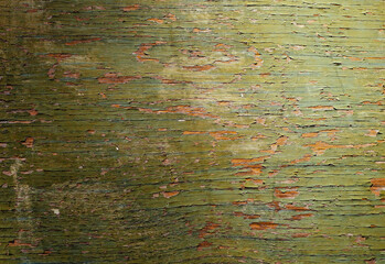 An aged surface reveals layers of weathered green paint, showcasing a rustic texture. Subtle patterns of cracks and peeling paint narrate the tale of time's passage.