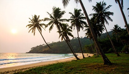 Lush tropical beach at sunset.
