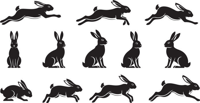 Collection of black rabbit silhouettes in various dynamic poses and actions