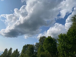 Experience a Stunning Scenic View of a Cloudy Sky with Lush Green Trees Around You