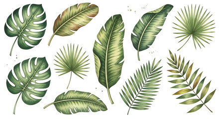 Watercolor illustration featuring a variety of tropical leaves on a white background artfully arranged