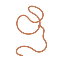 Lasso rope icon. Wild lasso icon. Vector illustration. 