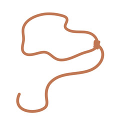 Lasso rope icon. Wild lasso icon. Vector illustration. 