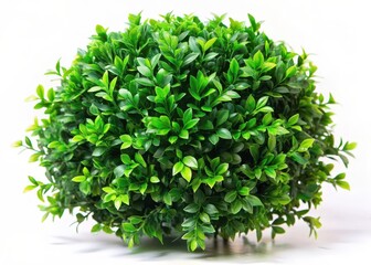 Obraz premium Artificial Faux Green Bush with Realistic Leaves for Decor