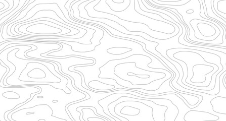 abstract wavy background. topographic contour background, pattern shape in organic wood on white and transparent background,
