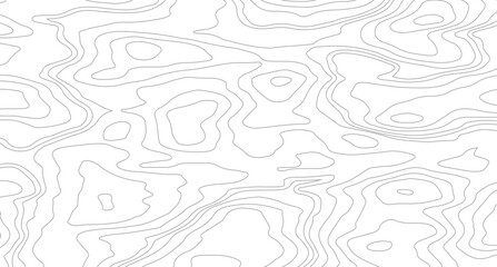 abstract wavy background. topographic contour background, pattern shape in organic wood on white and transparent background,

