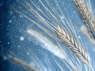 abstract macro background close-up