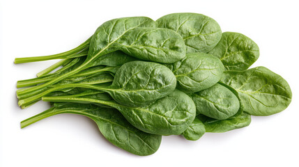 Obraz premium Fresh spinach leaves arranged in fan shape, vibrant green and healthy