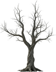 Single isolated bare black tree silhouette with branches against a white sky, perfect for a winter or autumn vector illustration